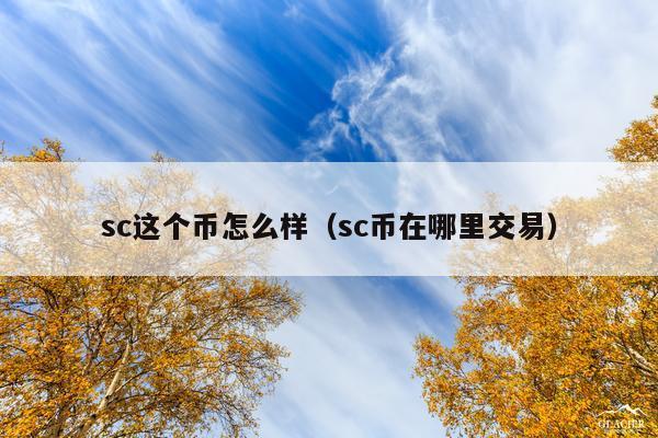 sc这个币怎么样(sc币在哪里交易)