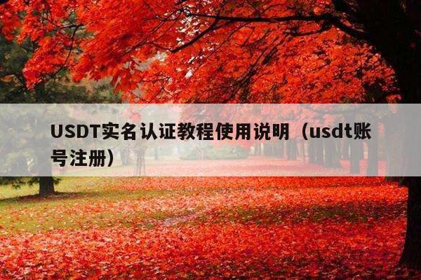 USDT实名认证教程使用说明(usdt账号注册)
