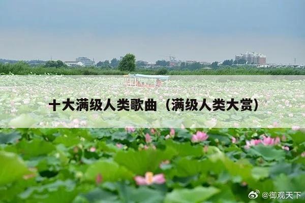 十大满级人类歌曲(满级人类大赏)