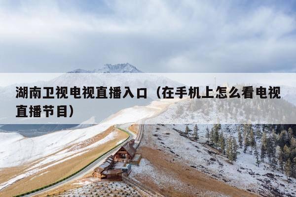 湖南卫视电视直播入口(在手机上怎么看电视直播节目)