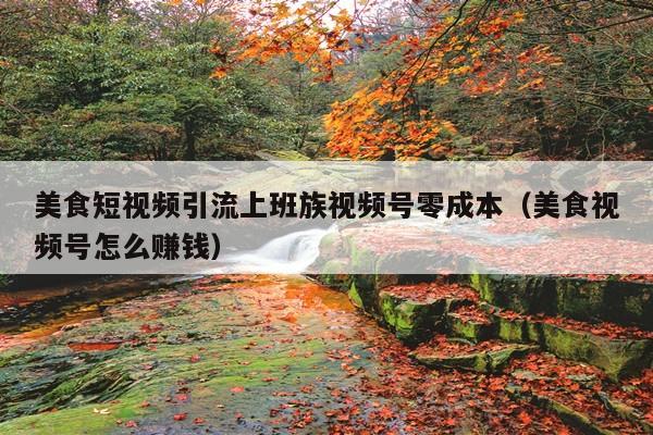 美食短视频引流上班族视频号零成本(美食视频号怎么赚钱)